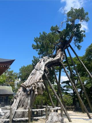 新北神社の参拝記録(りんさん)