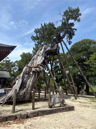 新北神社の参拝記録(おくらさん)