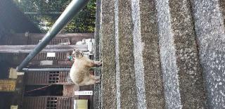 雨宝山 誕生堂の参拝記録(としさんさん)
