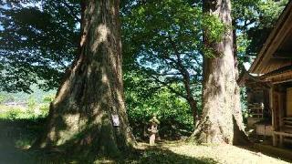 木澤神社の参拝記録(ゆきりさん)