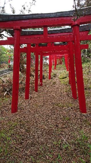 青山稲荷神社の参拝記録(ゆきりさん)