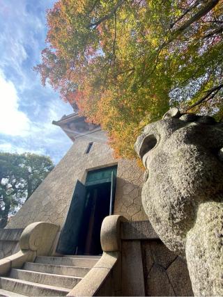 龍池山 大雲院の参拝記録(さくらさん)