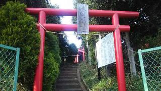 大宮浅間神社の参拝記録(miyumikoさん)
