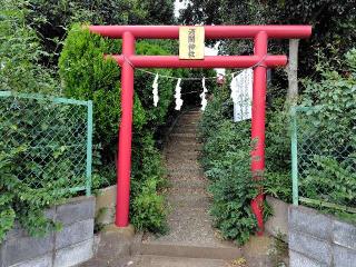 大宮浅間神社の参拝記録(ロビンさん)