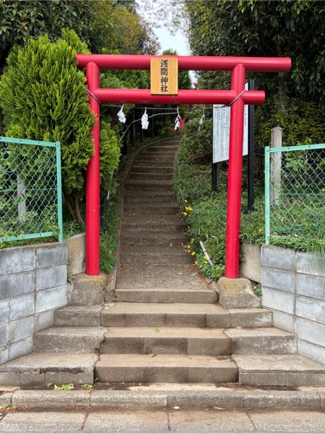 大宮浅間神社の参拝記録2