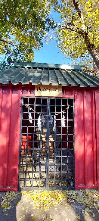 大宮浅間神社の参拝記録(まーぼーさん)