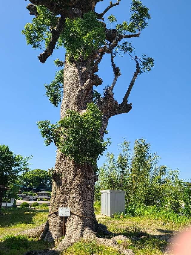 佐賀県鳥栖市田代新町１３０ 八坂神社の写真4
