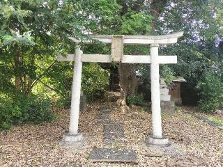向島八幡宮の参拝記録(さとみさん)
