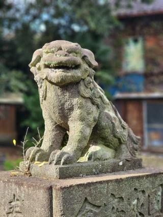 向島八幡宮の参拝記録(たけちゃ～ん⚾さん)