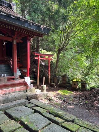 青龍神社の参拝記録(⛩️🐍🐢まめ🐢🐍⛩️さん)