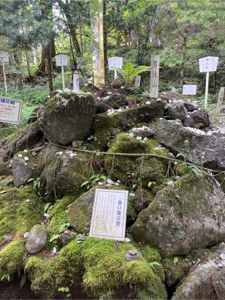 日光連山遙拝所（日光二荒山神社）の参拝記録(⛩️🐉🐢まめ🐢🐉⛩️さん)