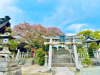 久保亀山八幡神社の参拝記録(ふうりんパパさん)