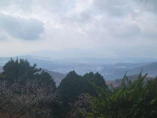 能勢妙見山の参拝記録(にゃんこさん)