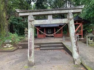 鎮守神社(鬼子母神社)の参拝記録(ぺぺさん)