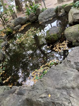 龍神社（六所神社境内）の参拝記録(恭子さん)