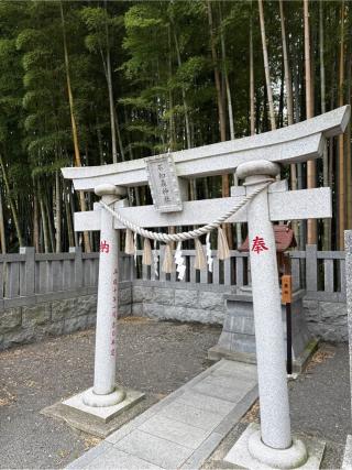 不知森神社の参拝記録(⛩️🎠🐢まめ🐢🎠⛩️さん)