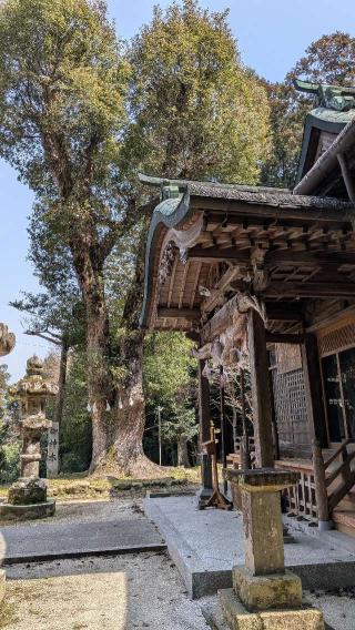 撃鼓神社の参拝記録(こまいぬおさん)