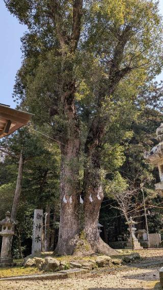 撃鼓神社の参拝記録(こまいぬおさん)