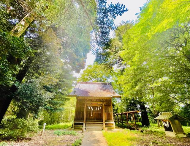 八幡神社（桶川市川田谷）の参拝記録(shikigami_hさん)