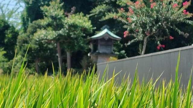 八幡宮（桶川市加納）の参拝記録2