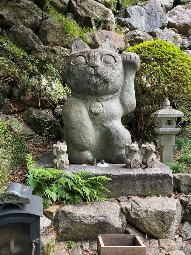 徳島県阿南市加茂町不ケ63 お松大権現の写真6