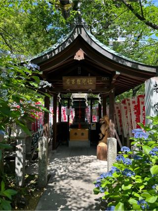 若宮龍神社（若宮八幡社 境内社）の参拝記録(ふうりんパパさん)