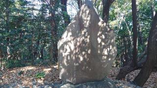 氷上姉子神社 元宮（氷上姉子神社 境内末社）の参拝記録(ごま男さん)