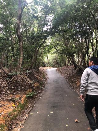 玉根社（氷上姉子神社 境内末社）の参拝記録(KUMIKOさん)