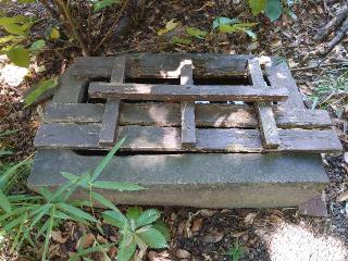 玉根社（氷上姉子神社 境内末社）の参拝記録(ごま男さん)