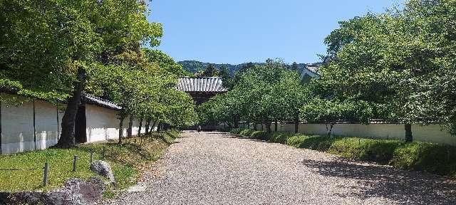 深雪山 醍醐寺 (上醍醐)の参拝記録7