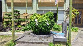 東神社の参拝記録(オトギリルさん)