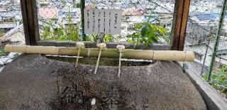 尾崎神社の参拝記録(さすらいきゃんぱぁさん)