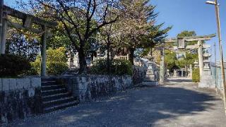 尾崎神社の参拝記録(白楽飲さん)