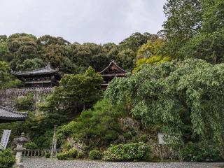 知恩院 勢至堂の参拝記録(くまたろうさん)
