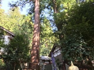 海神社(室生口大野)の参拝記録(じゃすてぃさん)