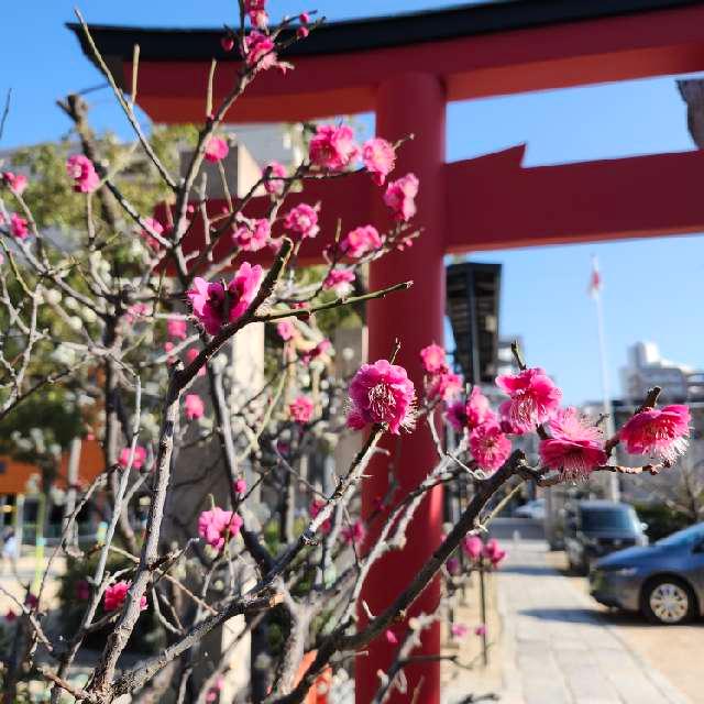 生田神社兵庫宮御旅所の参拝記録2