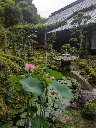 當麻寺 西南院の参拝記録(くまたろうさん)