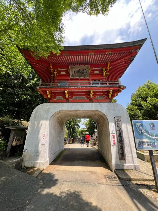 金剛證寺奥の院(呑海院)の参拝記録6