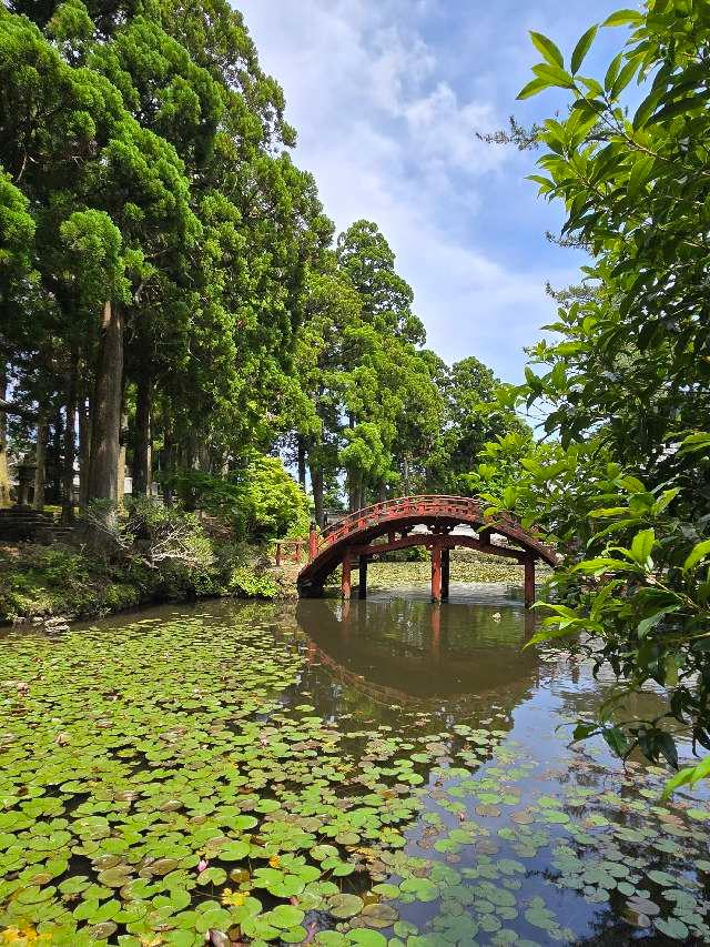 金剛證寺 八大龍王社の参拝記録5