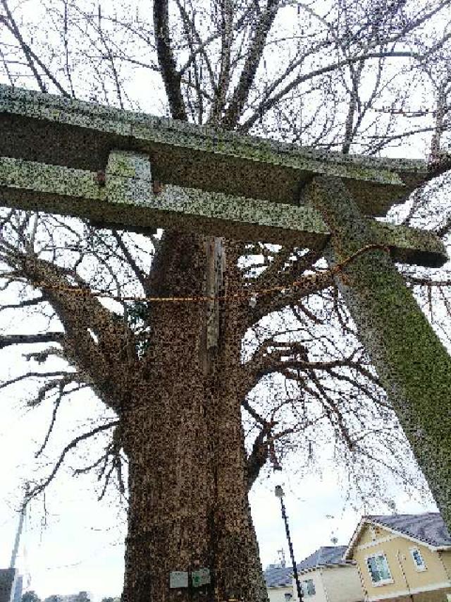 東京都町田市金森６丁目４６-１２ 西田 杉山神社の写真5