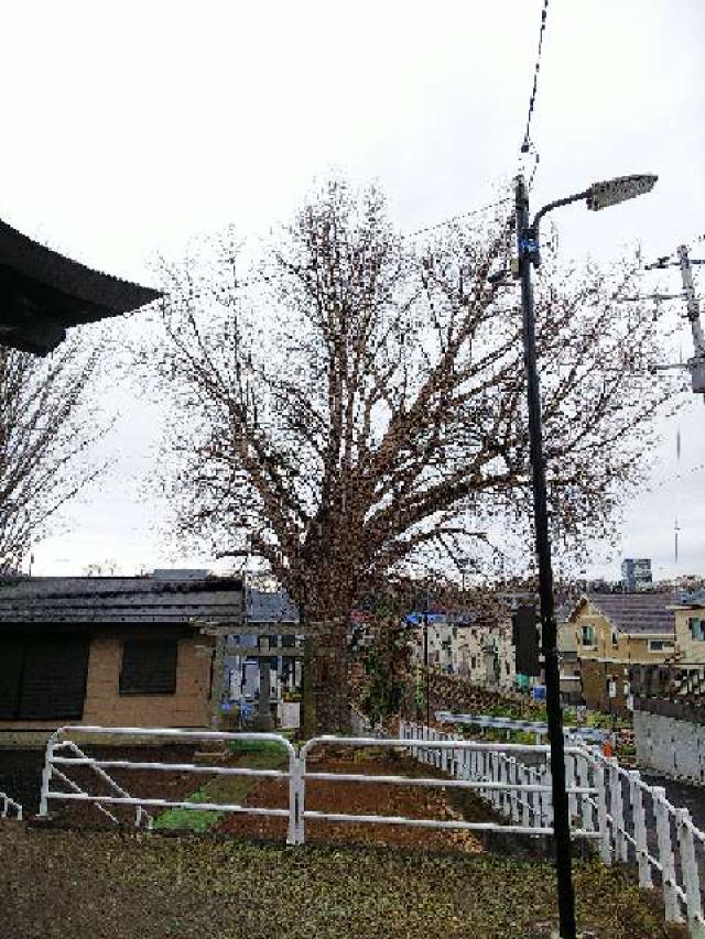 東京都町田市金森６丁目４６-１２ 西田 杉山神社の写真9