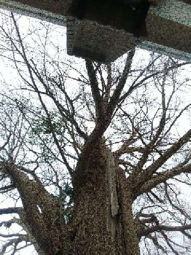 東京都町田市金森６丁目４６-１２ 西田 杉山神社の写真10