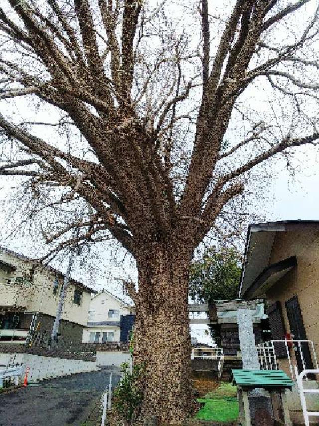 東京都町田市金森６丁目４６-１２ 西田 杉山神社の写真20
