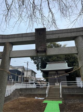 西田 杉山神社の参拝記録(⛩️🐍🐢まめ🐢🐍⛩️さん)