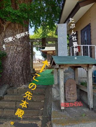 西田 杉山神社の参拝記録(やおかみさん)