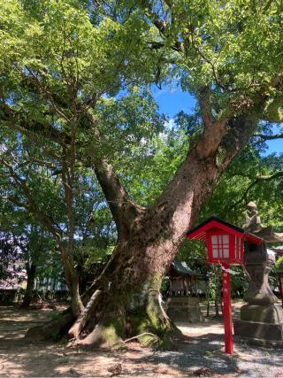 宮原三神宮の参拝記録(TOSHIさん)