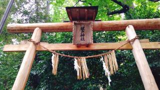 祓戸神社（彌彦神社境外末社）の参拝記録(miyumikoさん)