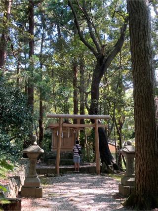 祓戸神社（彌彦神社境外末社）の参拝記録(はるさん)