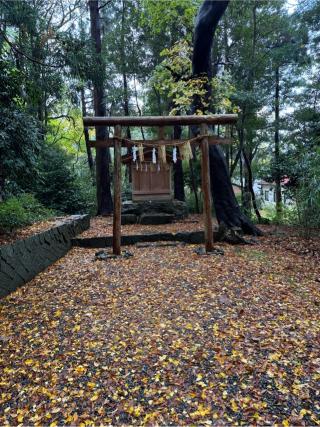 祓戸神社（彌彦神社境外末社）の参拝記録(こーちんさん)