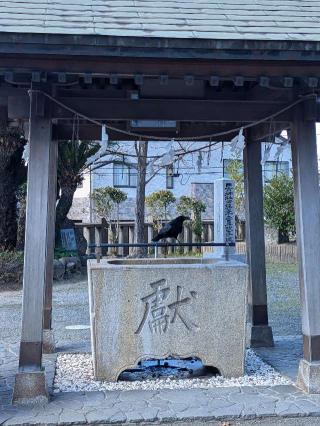 日吉神社の参拝記録(こまいぬおさん)